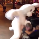 Illustration for article titled Bruh, Rabbit? Easter Bunny Puts Paws on Florida Man Attacking Black Woman